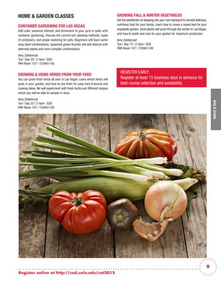 Brochure Inspiration Gallery: Higher Ed