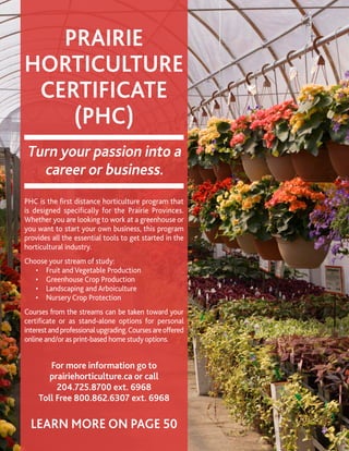 CONTINUING STUDIES • FALL 201516
PRAIRIE
HORTICULTURE
CERTIFICATE
(PHC)
Turn your passion into a
career or business.
PHC is the first distance horticulture program that
is designed specifically for the Prairie Provinces.
Whether you are looking to work at a greenhouse or
you want to start your own business, this program
provides all the essential tools to get started in the
horticultural industry.
Choose your stream of study:
	 •	 Fruit and Vegetable Production
	 •	 Greenhouse Crop Production
	 •	 Landscaping and Arboiculture
	 •	 Nursery Crop Protection
Courses from the streams can be taken toward your
certificate or as stand-alone options for personal
interestandprofessionalupgrading.Coursesareoffered
online and/or as print-based home study options.
For more information go to
prairiehorticulture.ca or call
204.725.8700 ext. 6968
Toll Free 800.862.6307 ext. 6968
LEARN MORE ON PAGE 50
 