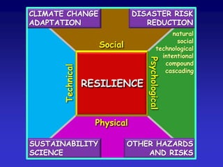 RESILIENCE
Social
Technical
Physical
Psychological
CLIMATE CHANGE
ADAPTATION
DISASTER RISK
REDUCTION
OTHER HAZARDS
AND RISKS
natural
social
technological
intentional
compound
cascading
SUSTAINABILITY
SCIENCE
 