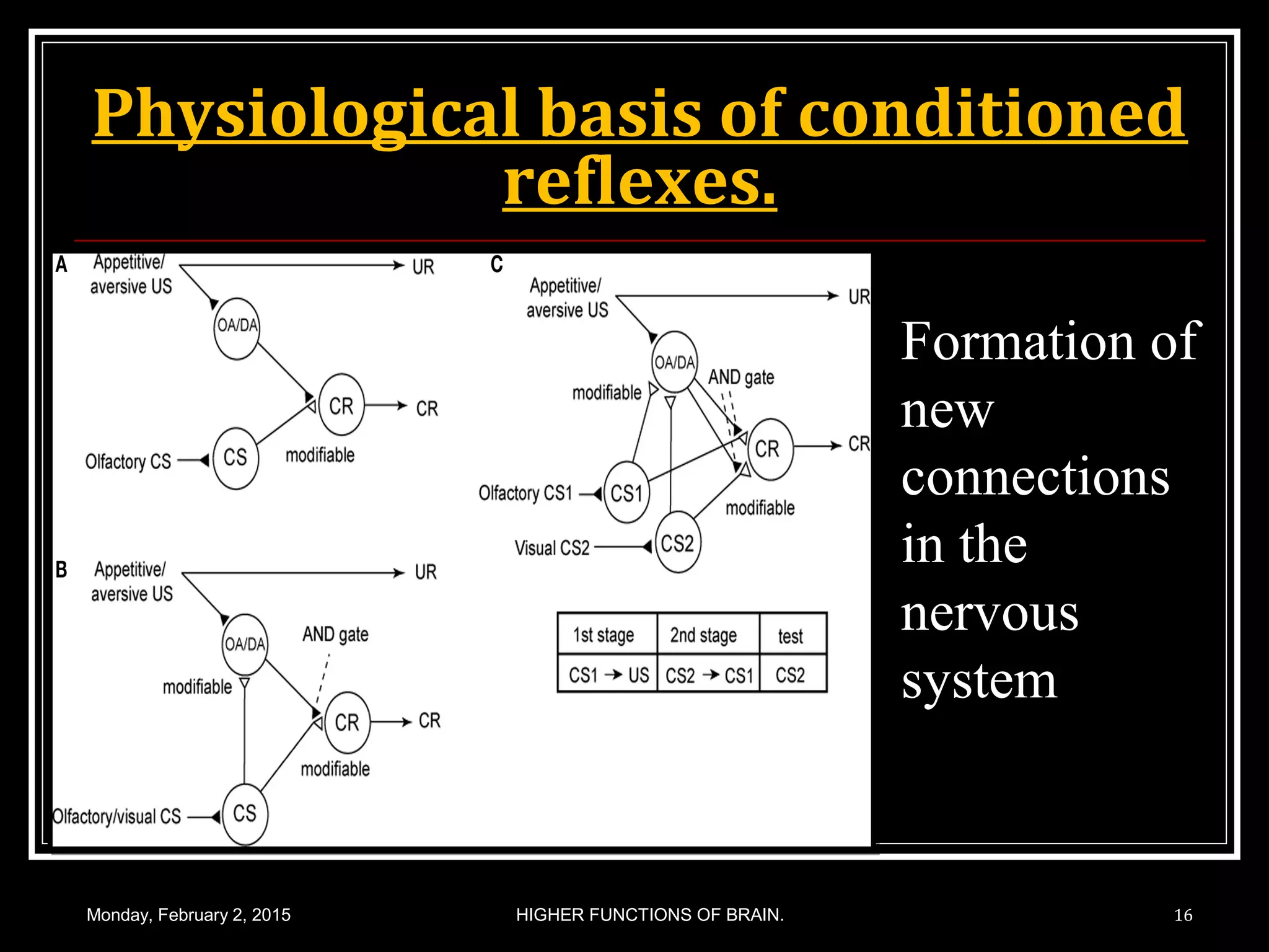 Physiological basis of conditioned
reflexes.
Monday, February 2, 2015 16HIGHER FUNCTIONS OF BRAIN.
Formation of
new
connections
in the
nervous
system
 