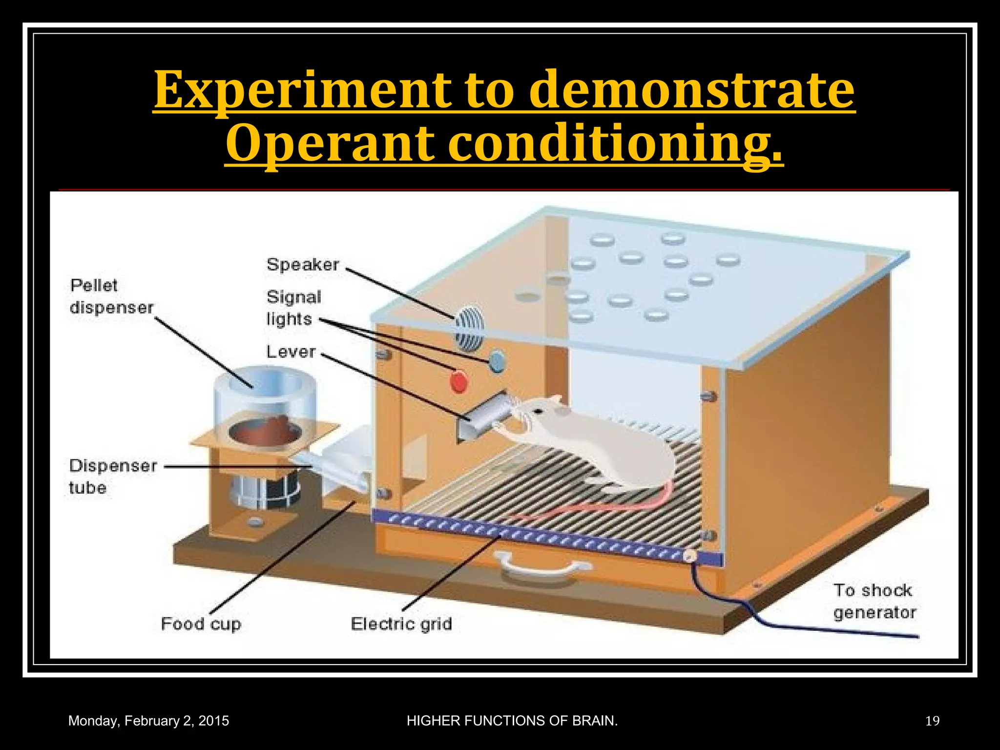 Experiment to demonstrate
Operant conditioning.
Monday, February 2, 2015 19HIGHER FUNCTIONS OF BRAIN.
 