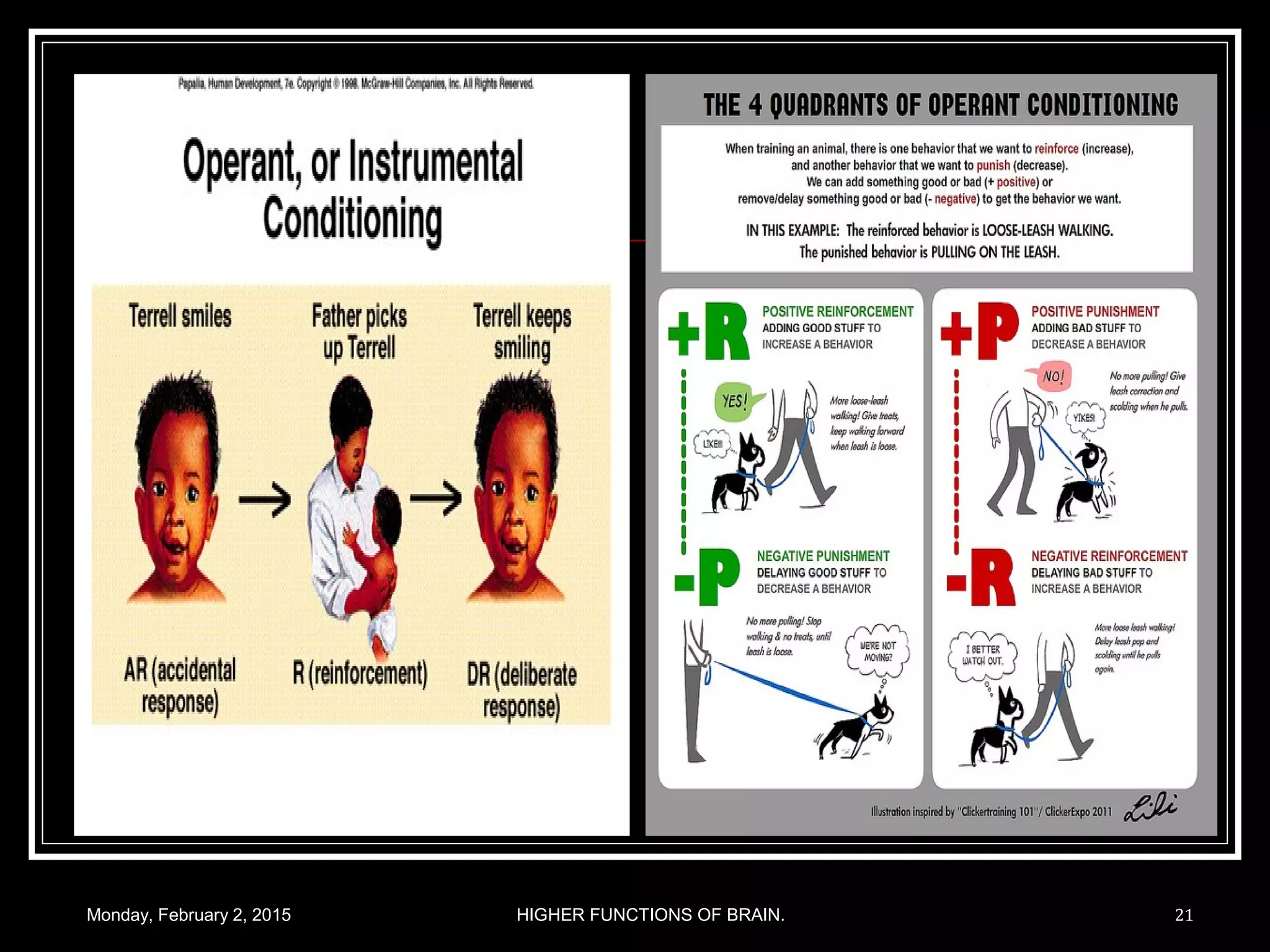 Monday, February 2, 2015 HIGHER FUNCTIONS OF BRAIN. 21
 