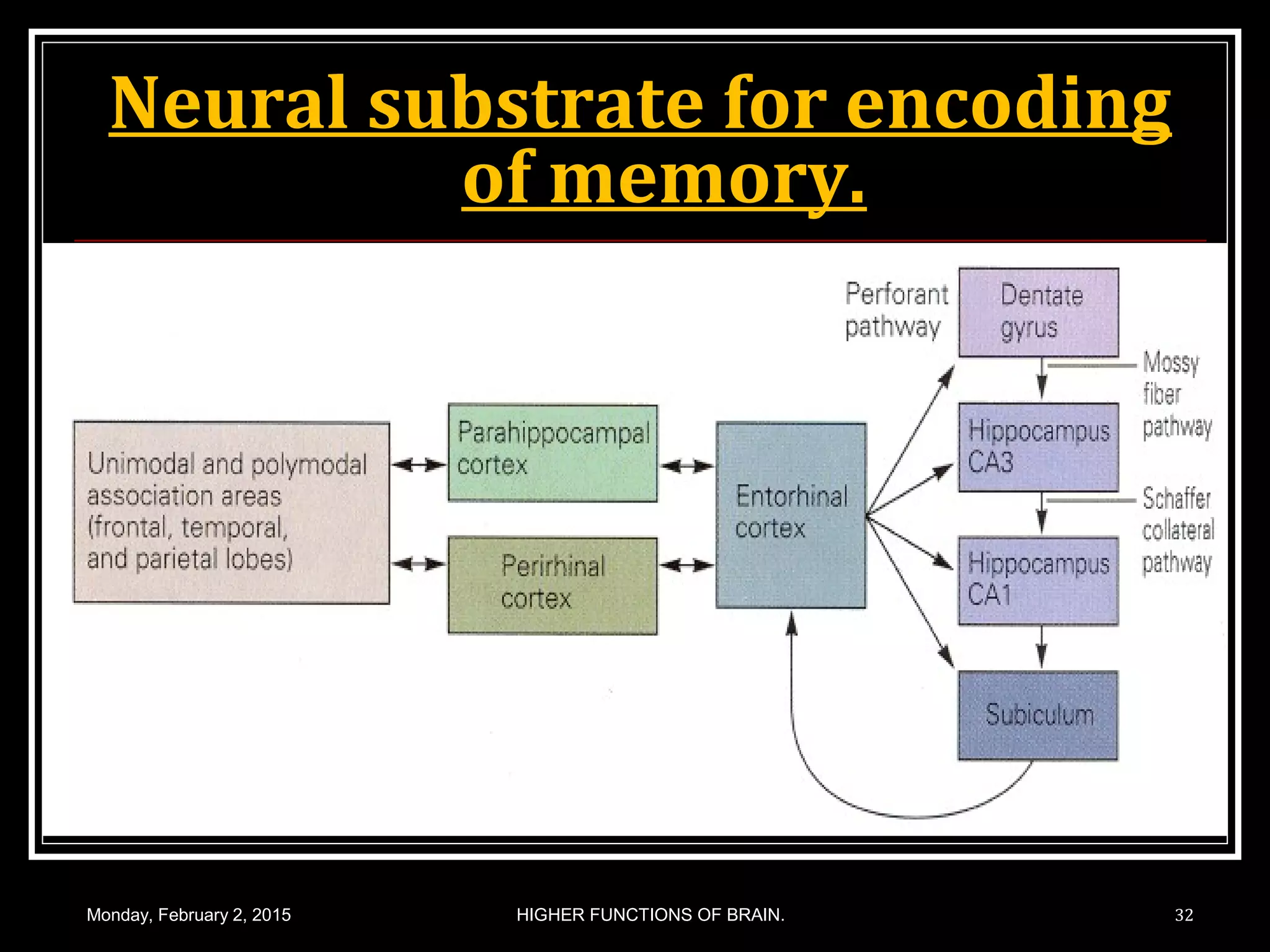 Neural substrate for encoding
of memory.
Monday, February 2, 2015 HIGHER FUNCTIONS OF BRAIN. 32
 