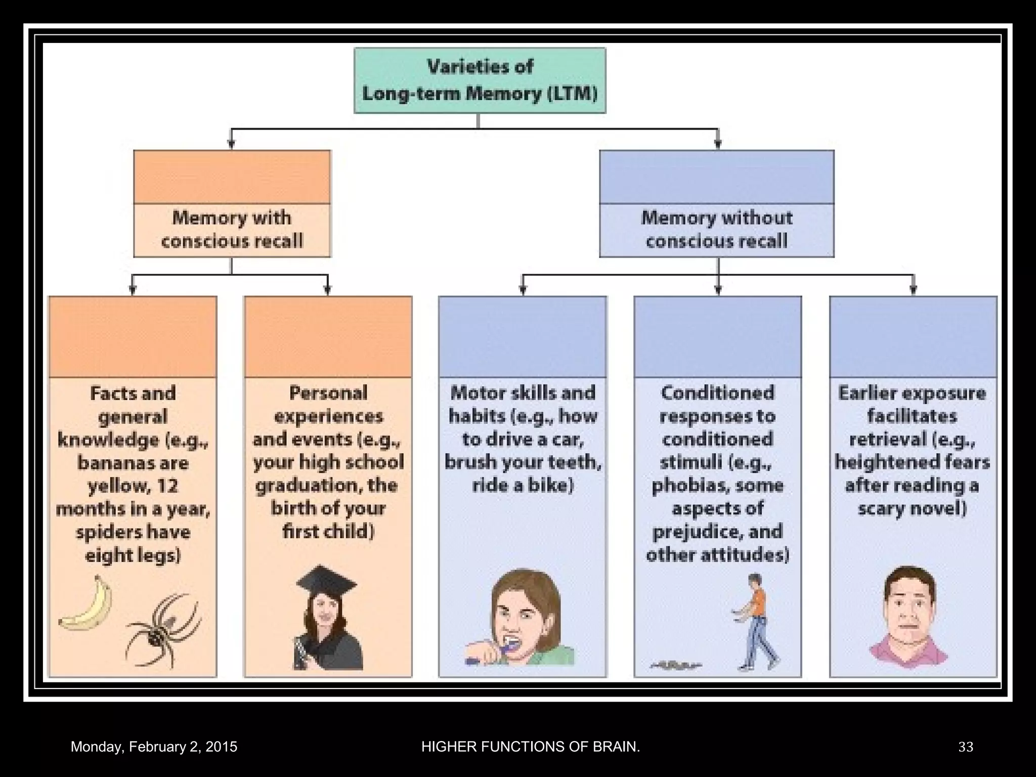 Monday, February 2, 2015 HIGHER FUNCTIONS OF BRAIN. 33
 