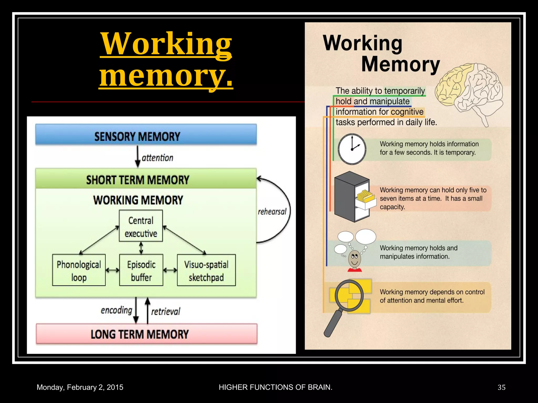 Working
memory.
Monday, February 2, 2015 HIGHER FUNCTIONS OF BRAIN. 35
 