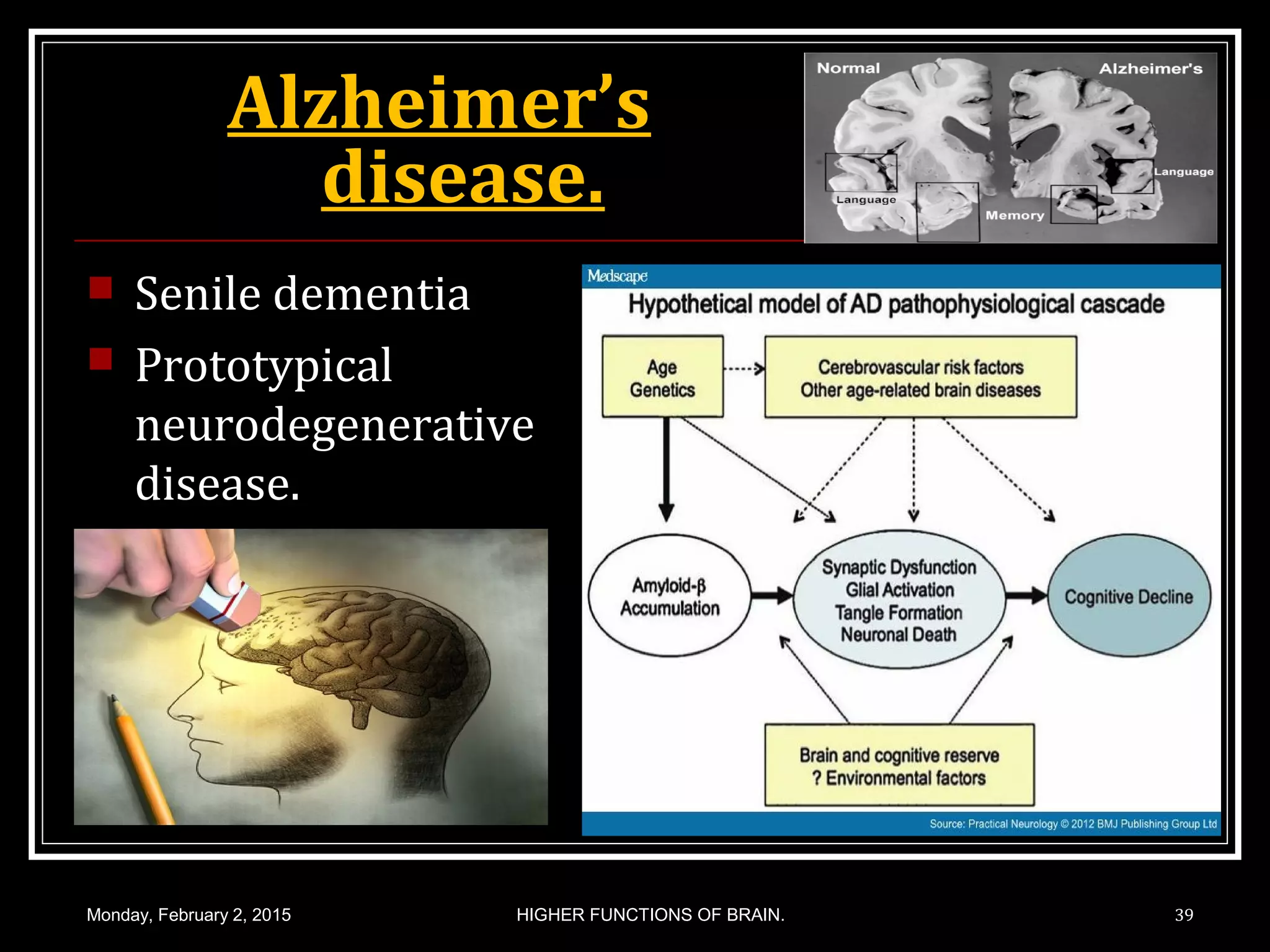 Alzheimer’s
disease.
 Senile dementia
 Prototypical
neurodegenerative
disease.
Monday, February 2, 2015 HIGHER FUNCTIONS OF BRAIN. 39
 
