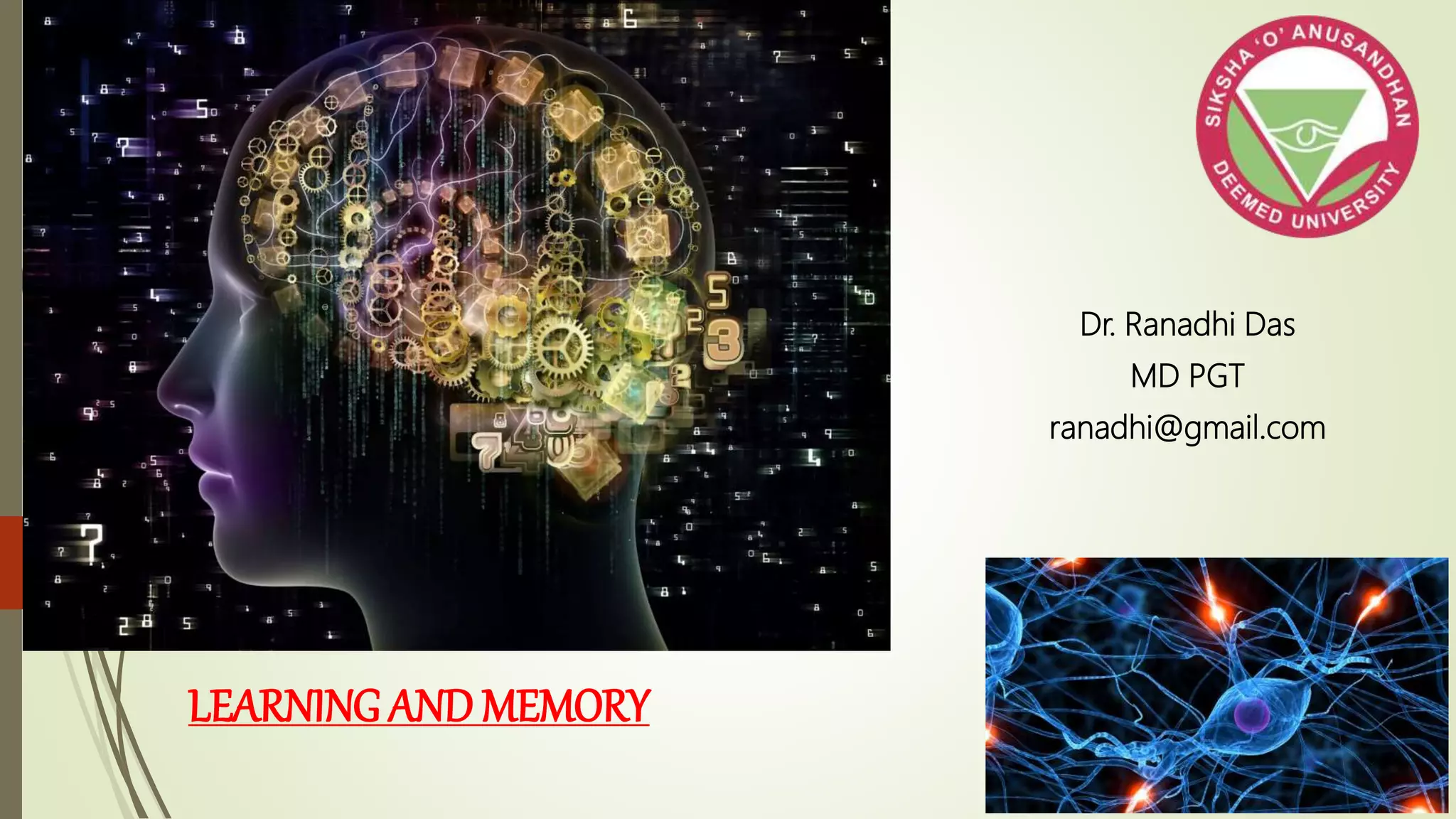 Learning and Memory: Types, Mechanisms, and Brain Regions | PPT