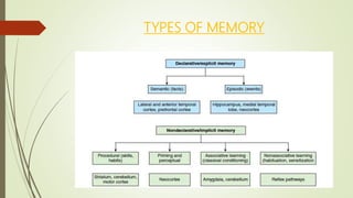 Memory Versus Learning Learning and Memory | PPTX