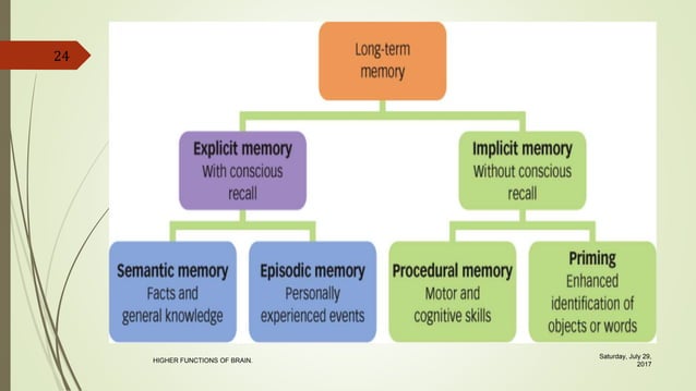 Learning and Memory