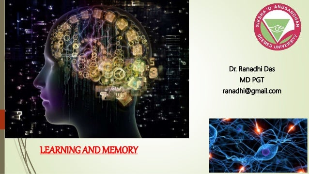 Learning and Memory