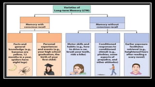 Higher Intellectual Function Higher Intellectual functions of brain | PPTX