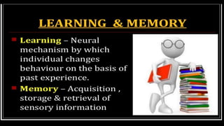 Higher Intellectual Function Higher Intellectual functions of brain | PPTX