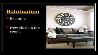 Higher Intellectual Function Higher Intellectual functions of brain | PPTX
