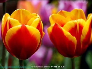 So, farewell then British Summer Time by Mukumbura on flickr (CC BY-SA 2.0)
 