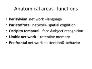 Higher  Mental Function