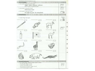 Higher  Mental Function