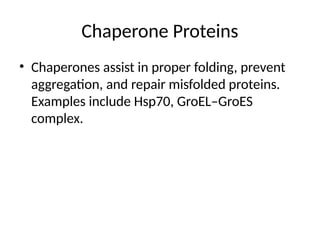 Higher_Order_Protein_Structure_Detailed.pptx