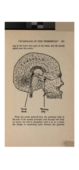 Higher psychic development
