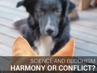 Photo by asafantman - Creative Commons Attribution-NonCommercial-ShareAlike License https://www.flickr.com/photos/7806040@N03 Created with Haiku Deck
 