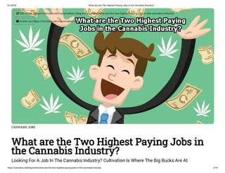 What are the Highest Paying Marijuana Jobs?