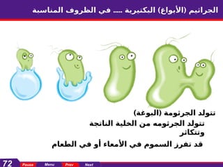 Highfield level 4(Arabic)............ppt