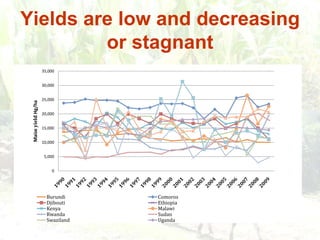 Persistence of high food prices in Eastern Africa: What role for policy?