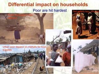 Persistence of high food prices in Eastern Africa: What role for policy?