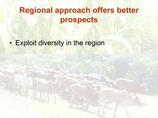 Persistence of high food prices in Eastern Africa: What role for policy?