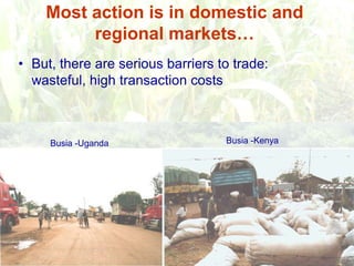 Persistence of high food prices in Eastern Africa: What role for policy?