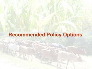 Persistence of high food prices in Eastern Africa: What role for policy?