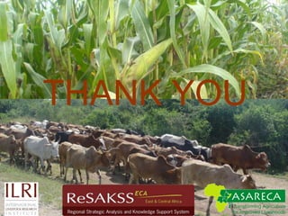 Persistence of high food prices in Eastern Africa: What role for policy?