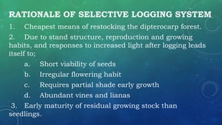 Comprehensive Overview of High Forest Reproduction Methods and ...