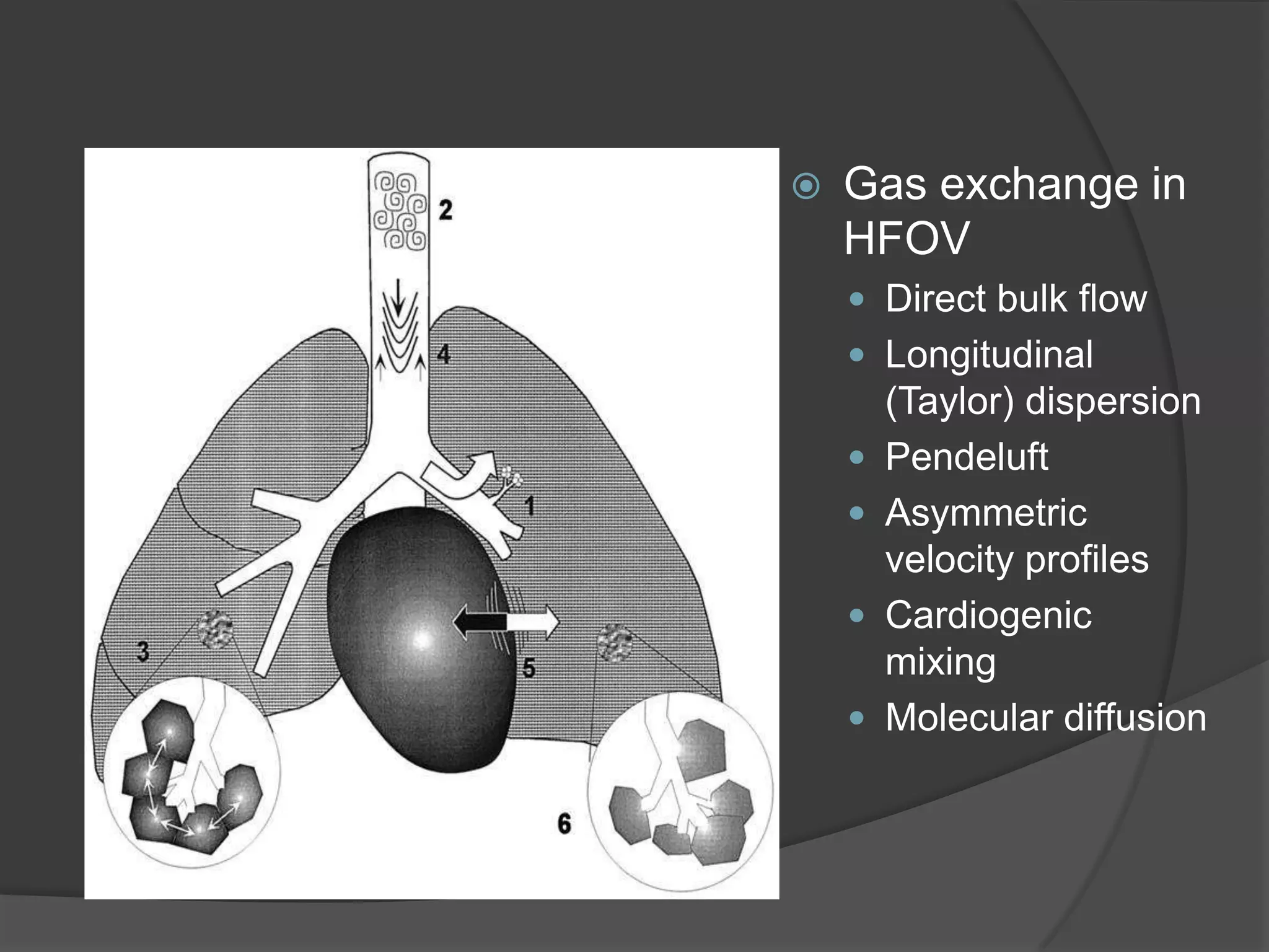 Gas exchange in HFOVDirect bulk flowLongitudinal (Taylor) dispersionPendeluftAsymmetric velocity profilesCardiogenic mixingMolecular diffusion