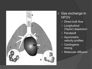 Gas exchange in HFOVDirect bulk flowLongitudinal (Taylor) dispersionPendeluftAsymmetric velocity profilesCardiogenic mixingMolecular diffusion