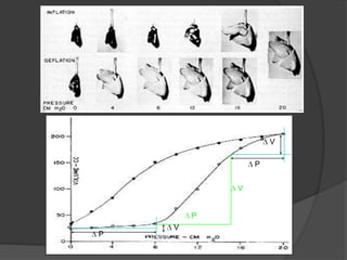  V P V P V P