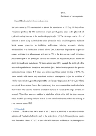 -DNA
-Initiations of carcinogenesis
Figure 1.Mitochondrial cytochrome oxidase system.
and tumor mass by 52% as compared to normal fed animals and in LN Cap cell line culture.
Fenretidine produced 82–95% suppression of cell growth, partial arrest in G1 phase of cell
cycle and marked increase in the number of apoptic cells [39].The chemopreventive effect of
retinoids is most likely exerted at the tumor promotion phase of carcinogenesis. Retinoids
block tumour promotion by inhibiting proliferation, inducing apoptosis, inducing
differentiation, or a combination of these actions [40]. It has been proposed that in prostate
cancer, urokinase-type plasminogen activator (u-PA) is the key enzyme which occupies a
place at the apex of the proteolytic cascade and initiates the degradative process needed for
ability to invade and metastasize. All-trans retinoic acid (RA) reduced the ability of u-PA-
mediated degradation of ﬁbronectin and laminin [41]. Animal studies proved that prostate
carcinoma tissue contains 5–8 times less retinoic acid than normal prostate or BPH. The
lower retinoic acid content may contribute to cancer development or just be a marker of
cellular transformation, possibly explained by a more rapid degradation. However, the Alpha-
tocopherol Beta-carotene Cancer Prevention study in a placebo controlled, randomized trial
showed that beta carotene treatment resulted in increase in cancer at the lungs, prostate and
stomach. This effect was more evident in alcoholics, which might shift the dose response
curve. Another possibility could be that an excess administration may reduce the efﬁcacy or
even promote tumors [24].
2. Vitamin D
Calcitriol (1,25-D3) is the active form of vit.D which is produced in the skin ultraviolet
radiation of 7-dehydrocholestol which is the active form of vit.D. Epidemiological studies
have shown that a lower 1,25-D3 is associated with increased incidence of carcinoma prostate
 