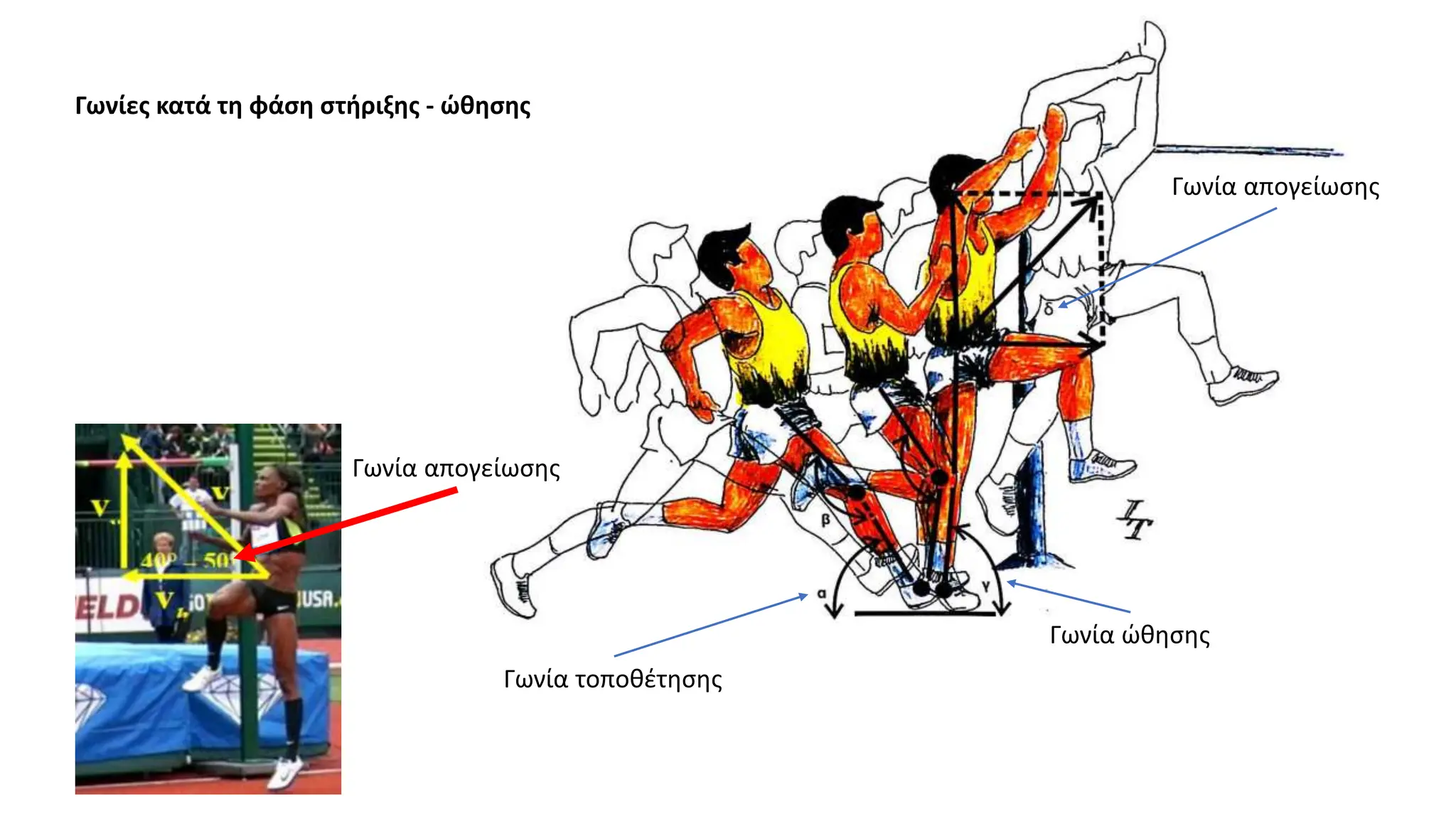 Γωνία τοποθέτησης
Γωνία ώθησης
Γωνία απογείωσης
Γωνία απογείωσης
Γωνίες κατά τη φάση στήριξης - ώθησης
 