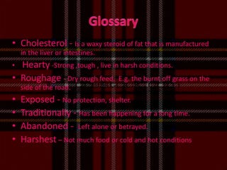 GlossaryCholesterol - Is a waxy steroid of fat that is manufactured in the liver or intestines.Hearty -Strong ,tough , live in harsh conditions.Roughage - Dry rough feed.  E.g. the burnt off grass on the side of the road.Exposed - No protection, shelter.Traditionally - Has been happening for a long time.Abandoned -  Left alone or betrayed.Harshest – Not much food or cold and hot conditions