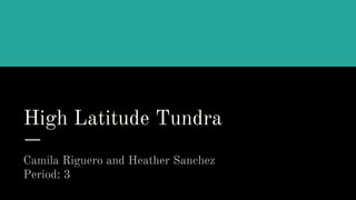 High Latitude Tundra
Camila Riguero and Heather Sanchez
Period: 3
 