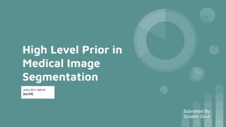 High Level Prior in
Medical Image
Segmentation
Submitted By:
Surabhi Govil
arXiv:2011.08018
[cs.CV]
 