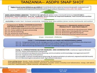 Maziwa Zaidi:Highlights:experiment to improve AR4D