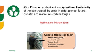 icarda.org 2
SRP1: Preserve, protect and use agricultural biodiversity
of the non-tropical dry areas in order to meet futu...