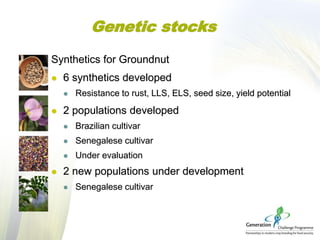 Genetic stocks
Synthetics for Groundnut
 6 synthetics developed
 Resistance to rust, LLS, ELS, seed size, yield potentia...