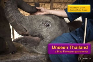 This edition’s special:
              Elephant Master Course




Unseen Thailand
 a Brad Florescu signature trip
 