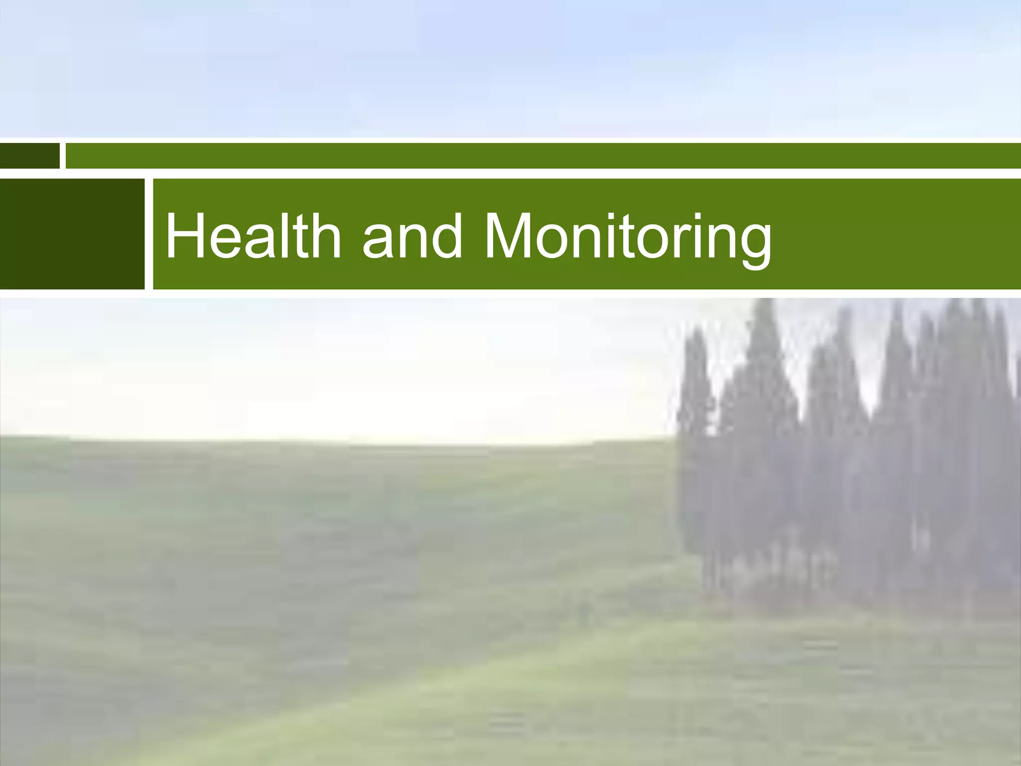 Virtualization & Stretching