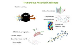 Highly Organised, Disruptive Big Data Science in CIAT