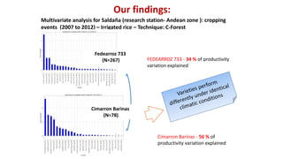 Highly Organised, Disruptive Big Data Science in CIAT