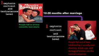 oxytocin
cortisol
and
testosterone
level
oxytocin
cortisol
and
testosterone
level
12-28 months after marriage
People fall out of love
relationship is usually over
divorces, break-ups, and
damaged families are the
normal outcomes
People fall in of love
romantic love starts
 