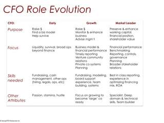 The High Performance CFO - everything you need to know | PPT