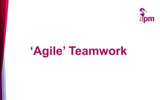 ‘Agile’ Teamwork
 